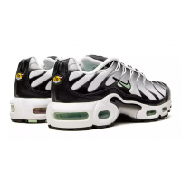 Кроссовки Nike Air Max TN Plus Silver