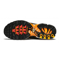 Кроссовки Nike Air Max TN Plus Black Orange