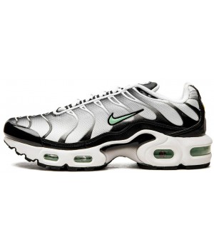 Nike Air Max TN Plus Silver