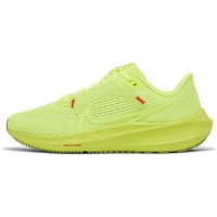 Кроссовки Nike Pegasus 40 Light Green
