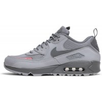 Кроссовки Nike Air Max 90 Surplus Wolf Grey Salt