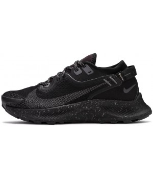 Nike Pegasus Trail 2 GTX Black Metallic Grey