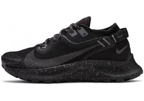 Nike Pegasus Trail 2 GTX Black Metallic Grey