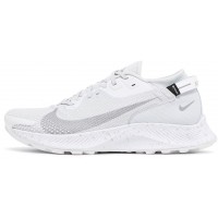 Nike Pegasus Trail 2 GTX Pure Platinum
