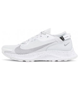 Nike Pegasus Trail 2 GTX Pure Platinum