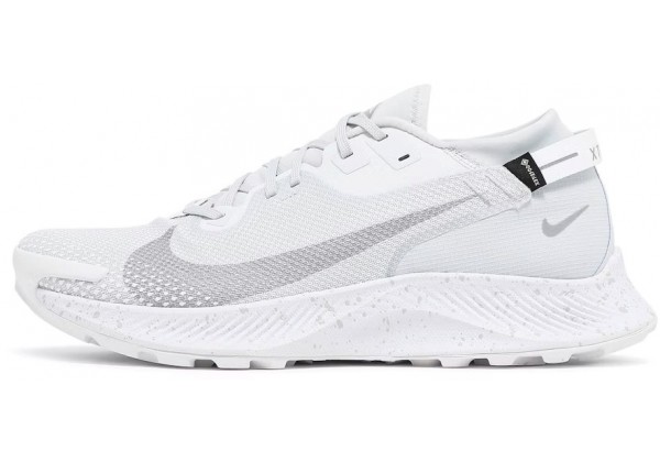 Nike Pegasus Trail 2 GTX Pure Platinum