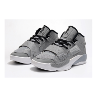 Nike Air Jordan Zion 2 Grey White