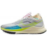 Nike Pegasus Trail 4 GORE-TEX Gray Blue