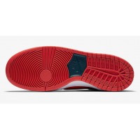 Nike Zoom Dunk Low Pro SB Reverse Shark