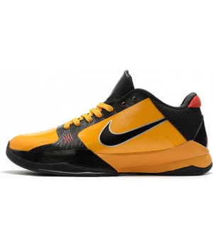 Кроссовки Nike Zoom Kobe 5 Da Vinci 