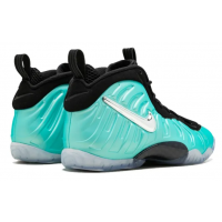 Nike Air Foamposite Pro Island Green