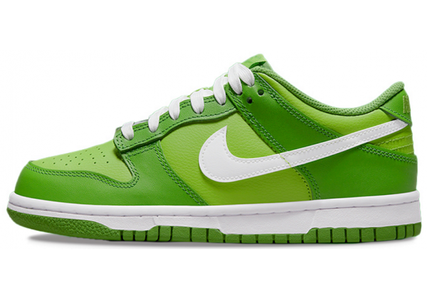 Nike Air Force 1 SB Dunk Low Kermit