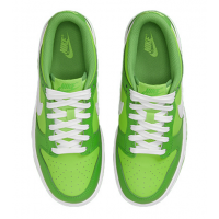 Nike Air Force 1 SB Dunk Low Kermit