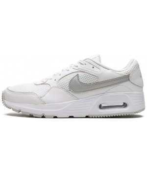 Nike Air Max SC White Metallic Platinum