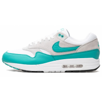 Nik Air Max 1 Evergreen