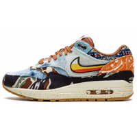 Nike Air Max 1 x Concepts SP Heavy