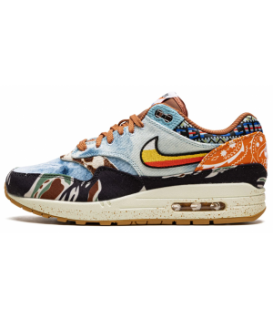 Nike Air Max 1 x Concepts SP Heavy