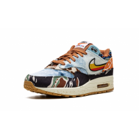 Nike Air Max 1 x Concepts SP Heavy