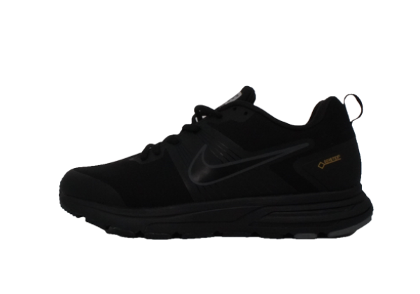 Кроссовки Nike Air Pretso Gore-Tex черные монотонные